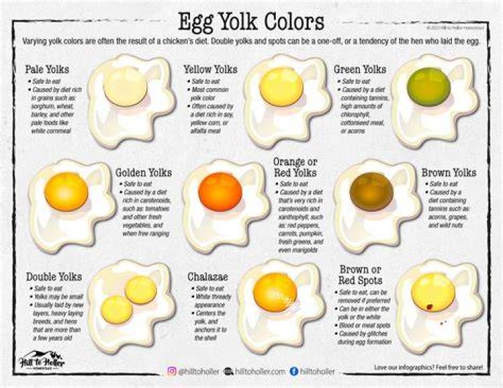 Are eggs with darker yolks better?