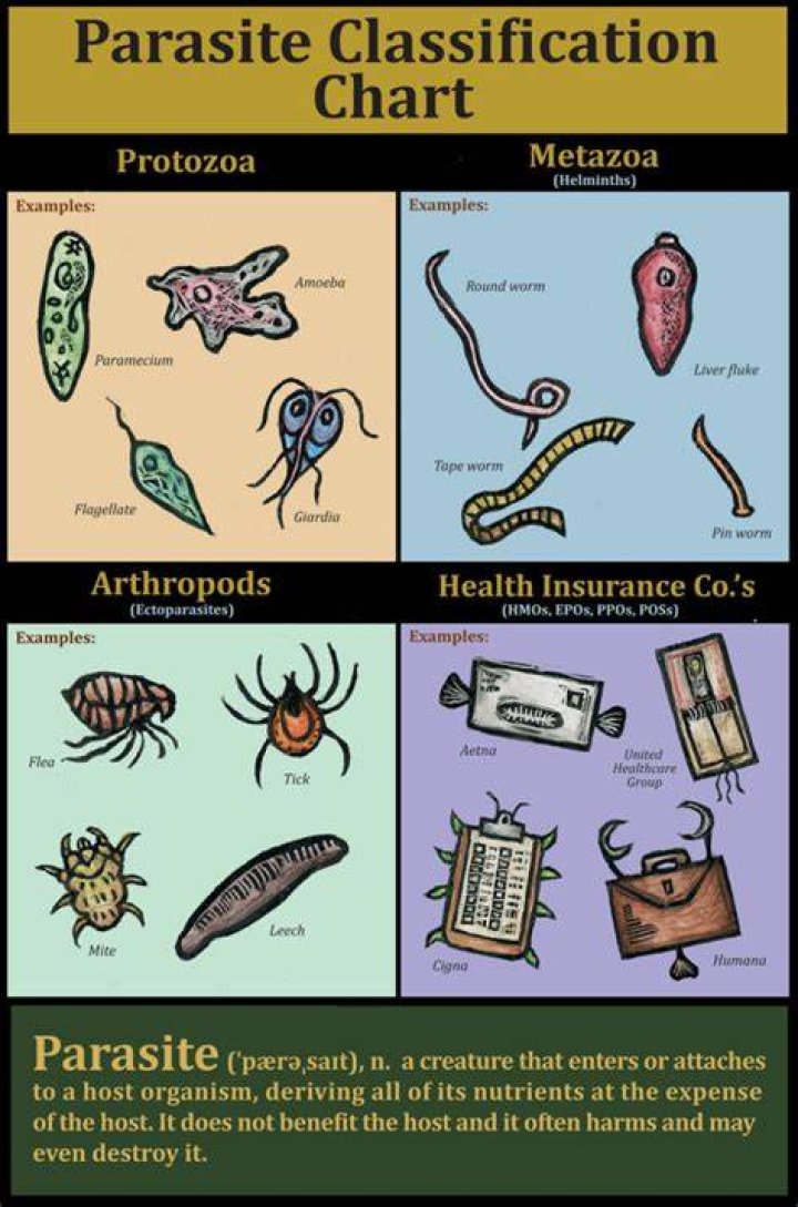 Are parasites common in Costa Rica?