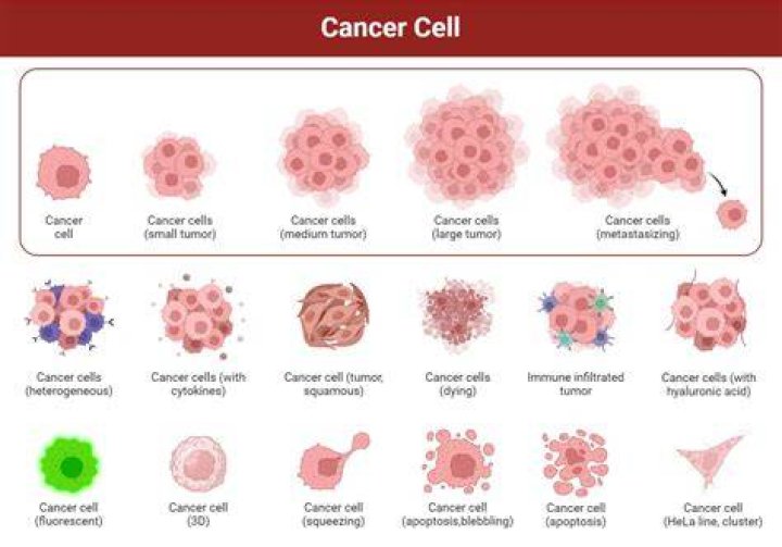 Can a boil be cancerous?