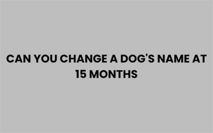 Can you change a dog's name?