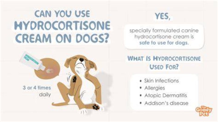 Can you use hydrocortisone cream on dogs?