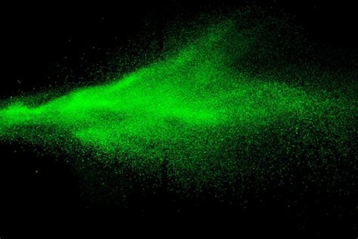 Do green and black go together?