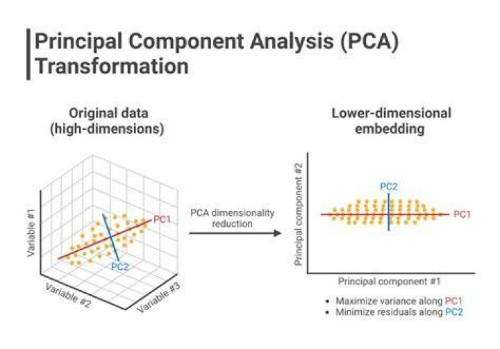 Does PCA decrease bias?
