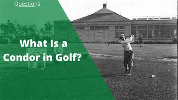 Has anyone got a condor in golf?