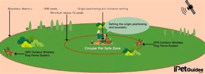 How accurate are GPS dog fences?