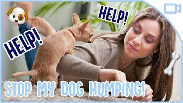 How do I stop humping my neck?