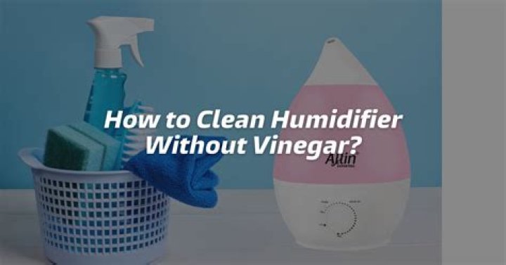 How do you clean a humidifier without vinegar?