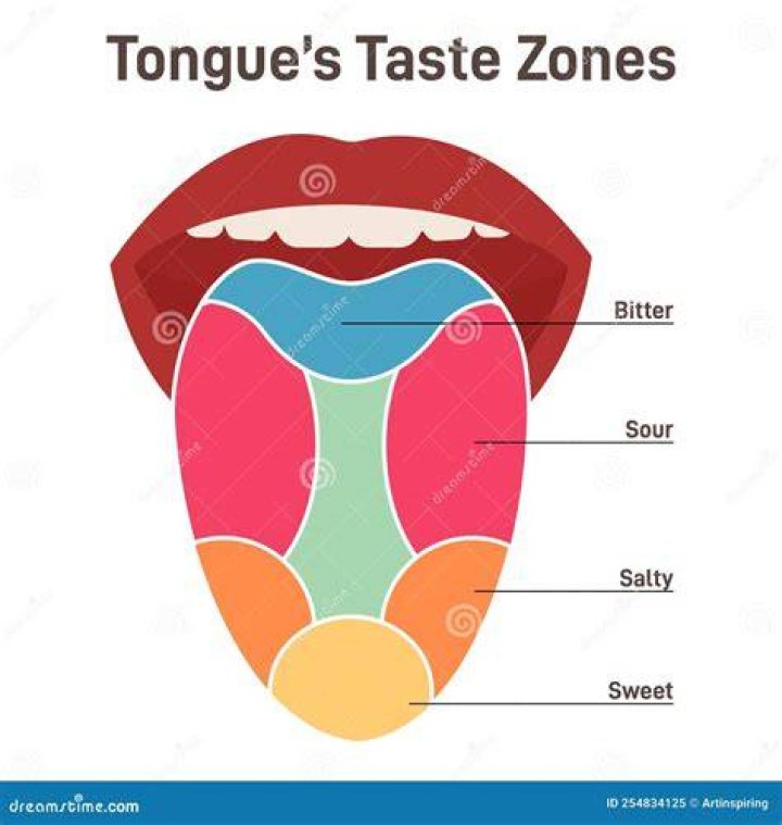 How does ant taste like?