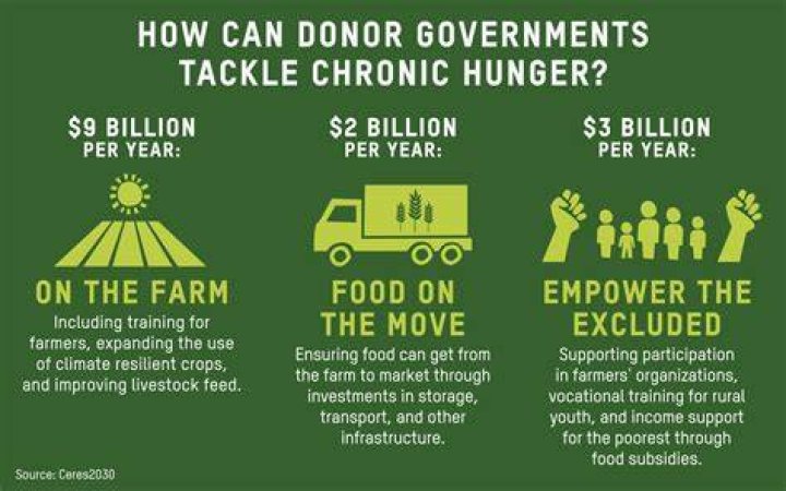 How much would it cost to feed Africa?