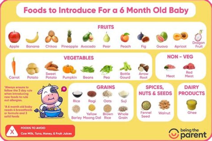 Is Avocado good for a 6 month baby?