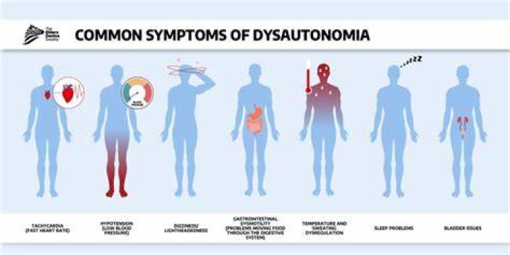 Is dysautonomia and autoimmune disease?