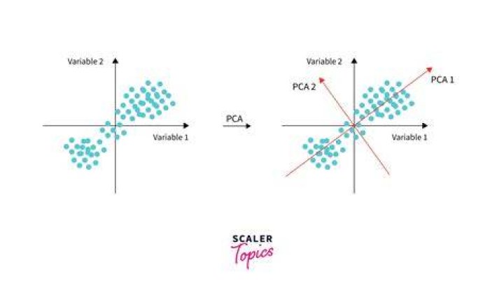 Is PCA a cluster?