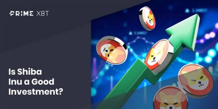 Is Shiba Inu a good investment?