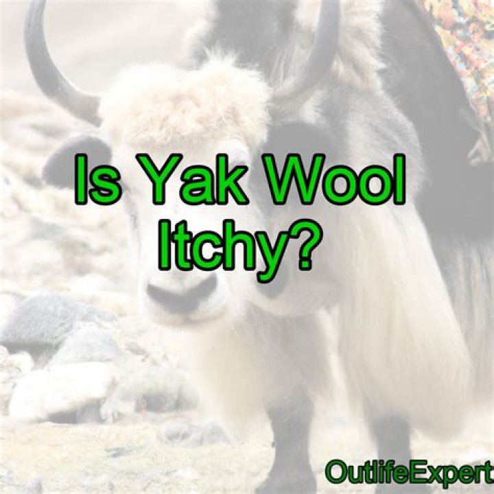 Is yak itchy like wool?