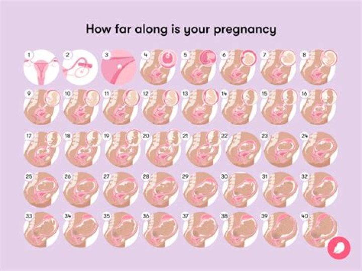 What's the hardest week of pregnancy?