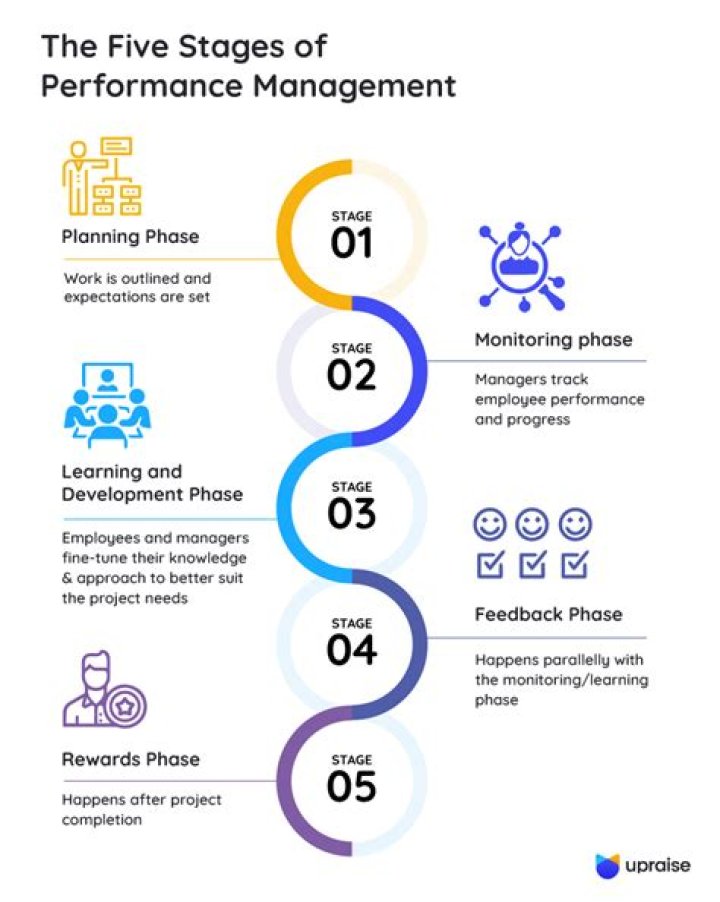 What are the 5 stages of performance management?