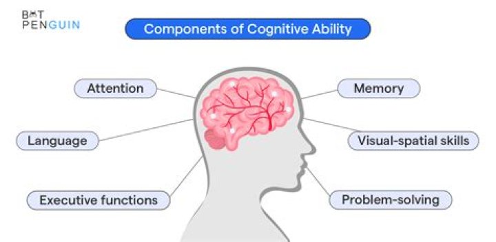 What are the abilities of a human?