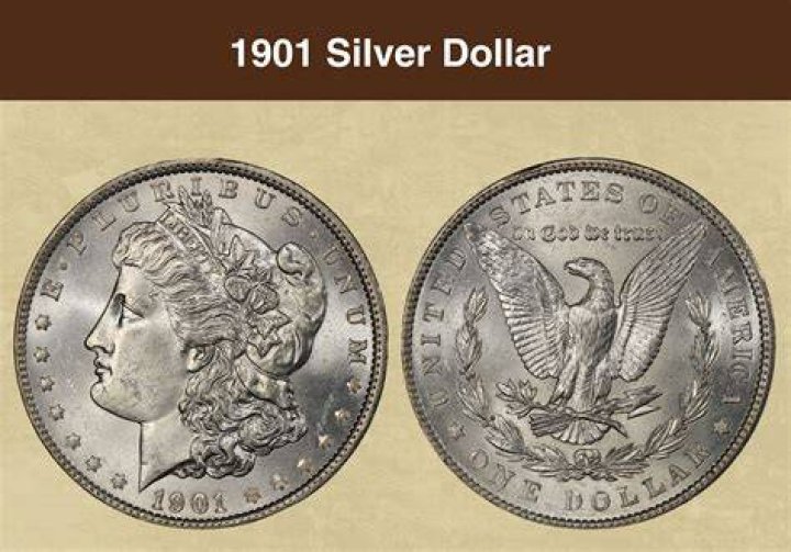 What could a dollar buy in 1920?