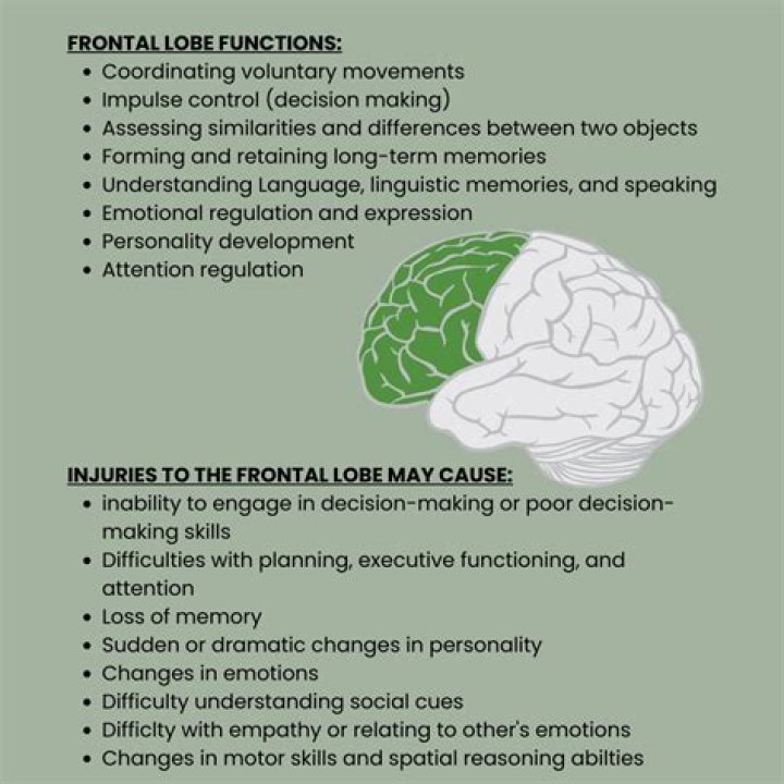 What emotions are impacted by the frontal lobe?