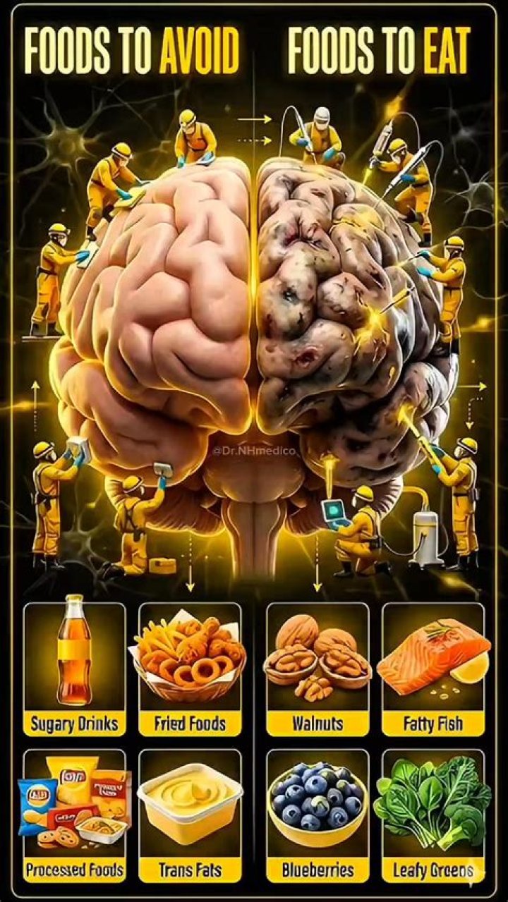 What foods reduce brain fog?