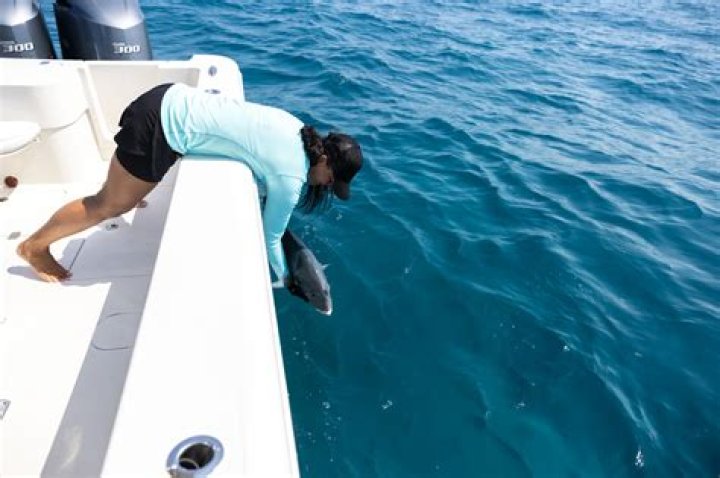 What happens when you throw a fish back?