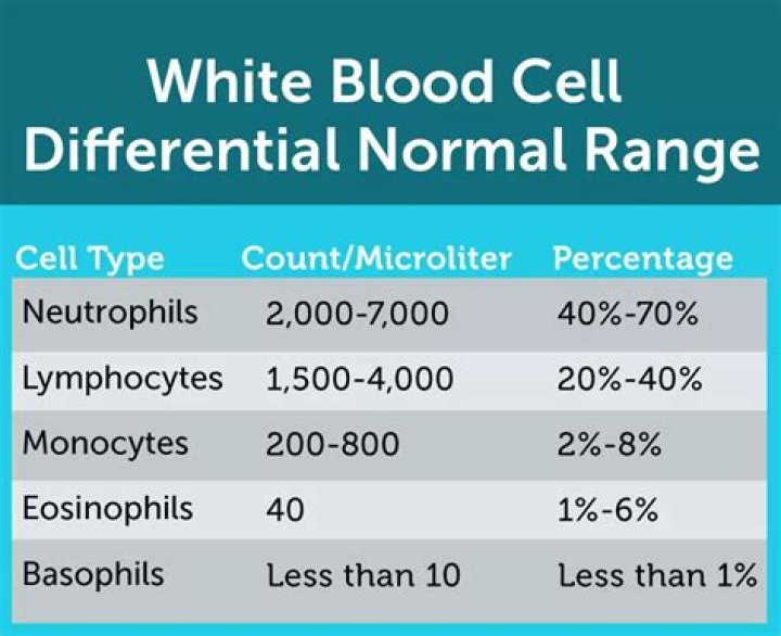 What is a normal range for neutrophils?