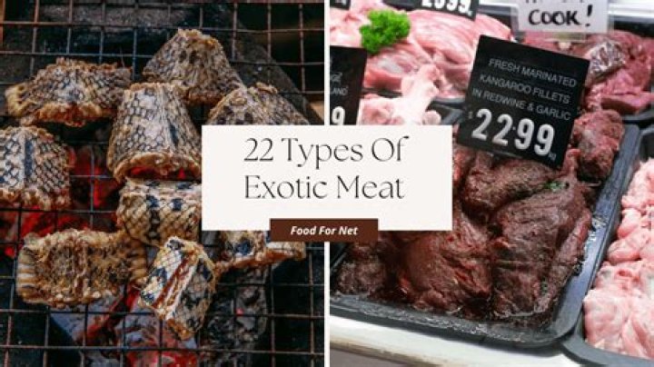 What is the most exotic meat?