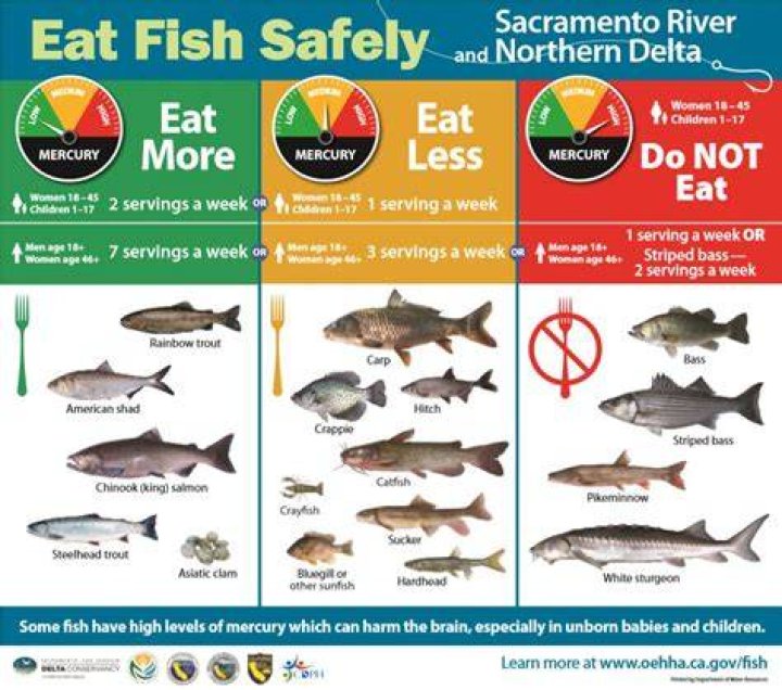 What is the safest fish to eat raw?
