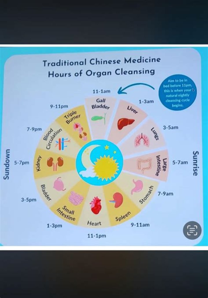 What organ is cleansing at 5am?
