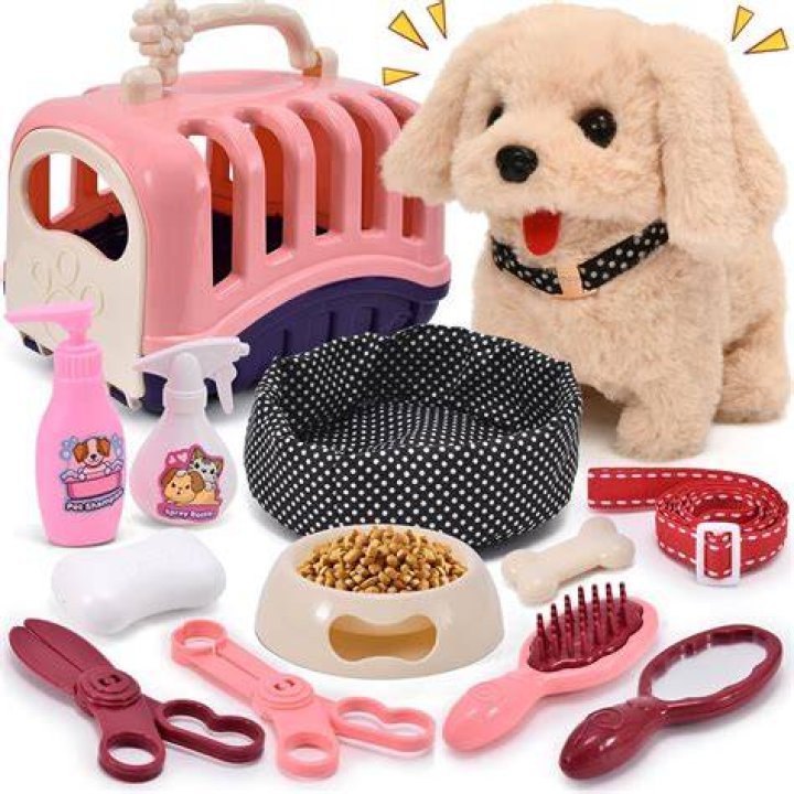 What toys can dogs not destroy?