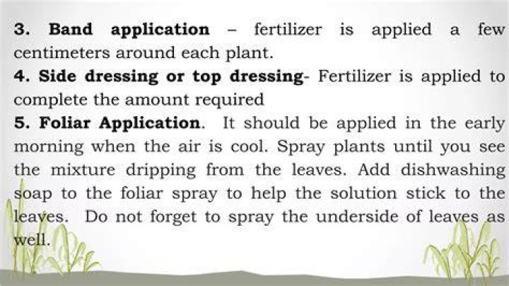 When should you not foliar spray?