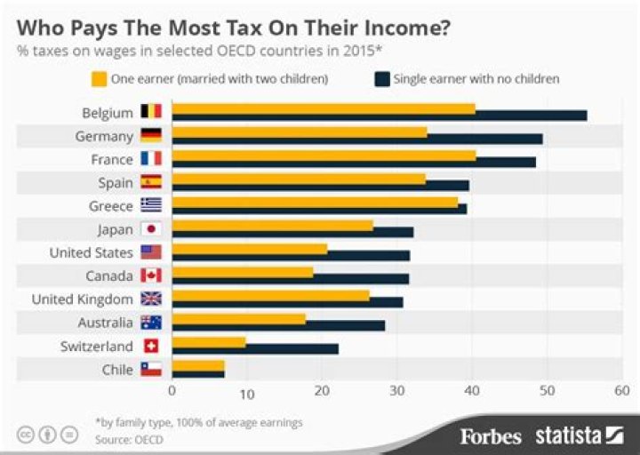 Who is the highest tax payer in the world?