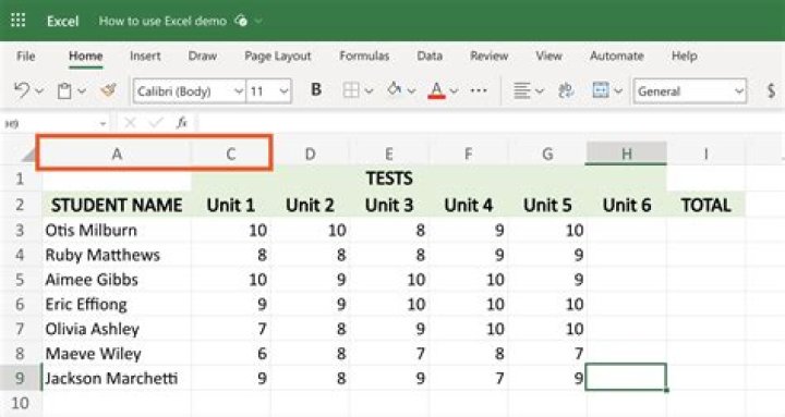 Who uses Excel the most?