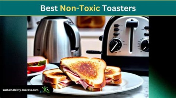 Why are toasters toxic?